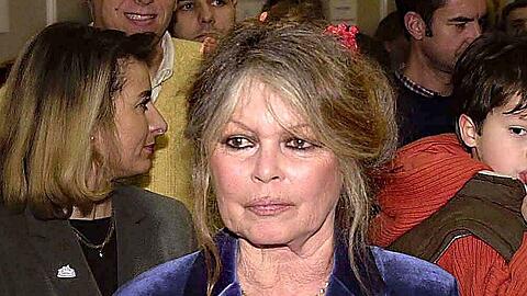 Brigitte Bardot lebt heute zurückgezogen in Frankreich