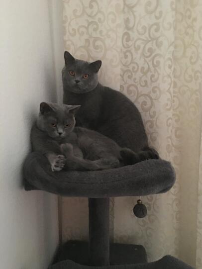 Max und Minni