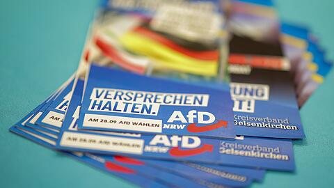 Die AfD brachte keinen ihrer Kandidaten in den Stichwahlen durch.