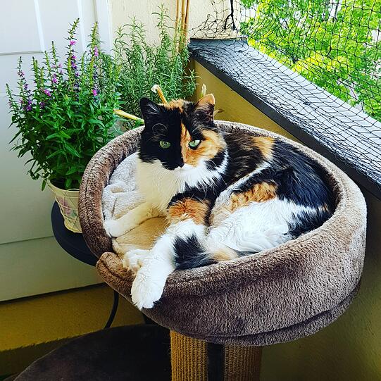 Esperanza