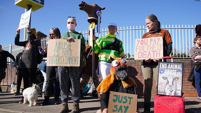 Tierschutz-Aktivisten protestierten beim Grand National Festival auf der Rennbahn von Aintree.