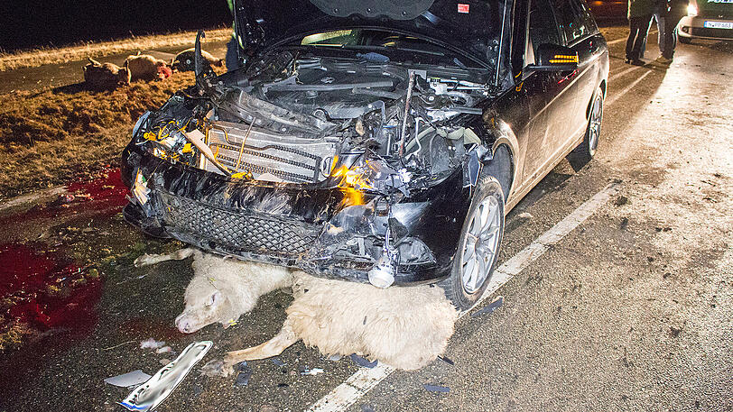 Nichts für schwache Nerven. Ein Mercedes raste mitten in die Herde &ndash; die Bilder vom Bergungseinsatz.