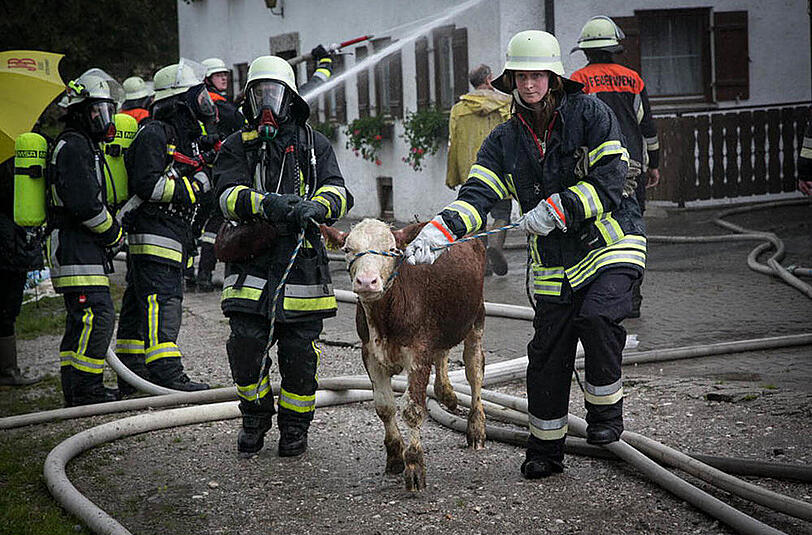 Bilder vom Großeinsatz der Feuerwehr: In Petting stand ein Stall in Vollbrand, etliche Tiere mussten aus dem brennenden Gebäude gerettet werden.