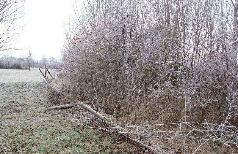 Die Einzäunung an der Langwieder Seenplatte verfällt.
