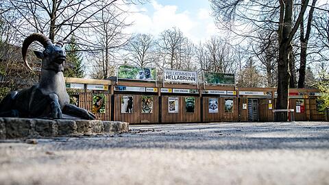 Der Tierpark-Besuch wird ab Februar etwas teurer. (Archivbild)
