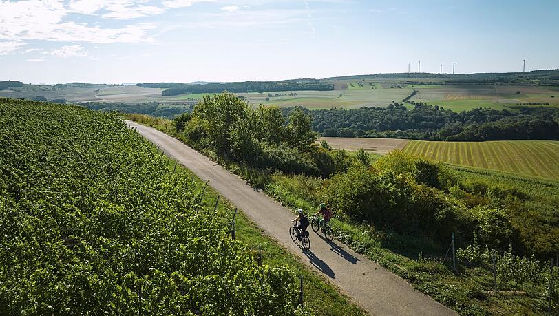 Radfahren im Weinberg in K&uuml;lsheim, Taubertal, Baden-W&uuml;rttemberg, Deutschland
