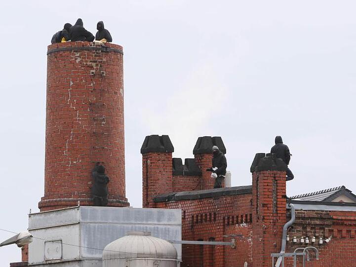 Vermummte Personen stehen auf dem Schornstein und dem Dach des Schlachthofes. Rund 30 Personen haben den Schlachthof besetzt.