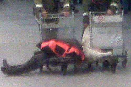 Ein Mensch liegt im Flughafen Domodedowo in Moskau auf einem Gepäckwagen.