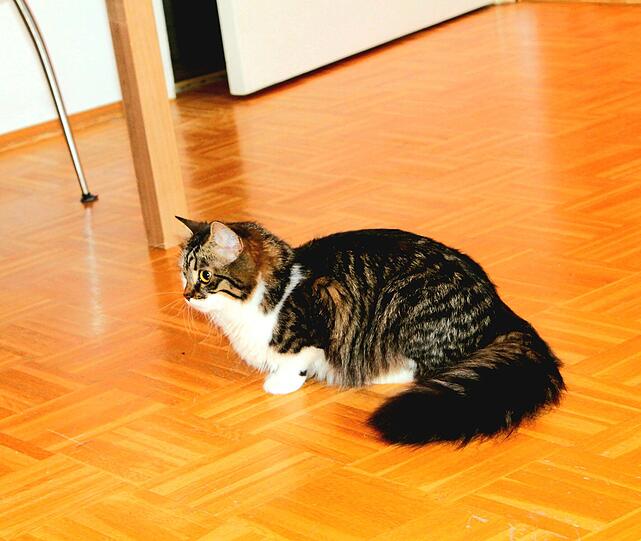 Queeny