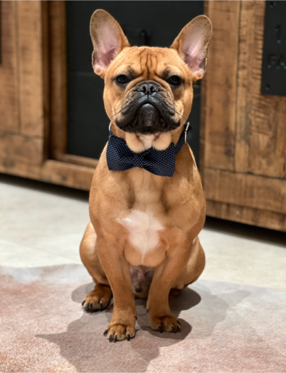 Milo