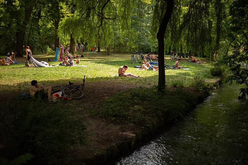 Ein Schattenplatzerl im Englischen Garten.