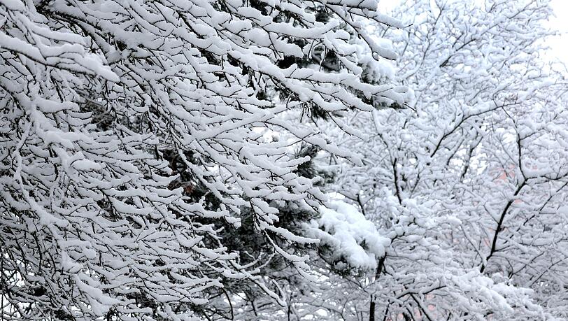 Kurz vor dem ersten Osterferien-Wochenende kam noch einmal der Schnee nach Bayern zurück. Kurz vor dem ersten Osterferien-Wochenende kam noch einmal der Schnee nach Bayern zurück.