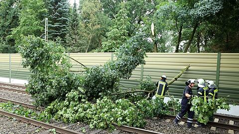 Feuerwehrleute beseitigen nach einem Unwetter umgestürzte Bäume auf einer Bahnstrecke. Feuerwehrleute beseitigen nach einem Unwetter umgestürzte Bäume auf einer Bahnstrecke.