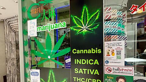 Cannabis-Shops schossen nach der Legalisierung 2022 wie Pilze aus dem Boden.