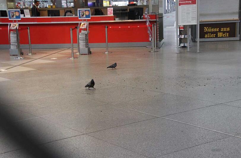 Der Hauptbahnhof in München wurde evakuiert, der Schalterbereich ist abgeriegelt, der Fernverkehr komplett eingestellt. Viele Reisende müssen sich eine Notunterkunft suchen. Die Bilder.