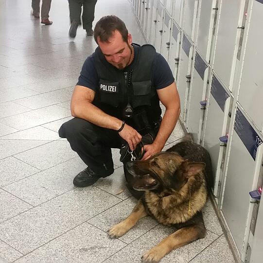 Polizeihund "Herkules" sprang dem Kubaner an den Oberkörper.