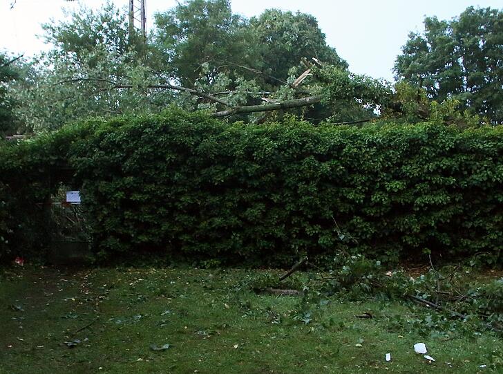 Ein Baum ist wegen des starken Unwetters in Düsseldorf (Nordrhein-Westfalen) auf ein Gartenhaus gestürtzt (hinter der Hecke), in dem sechs Menschen Zuflucht gesucht hatten.