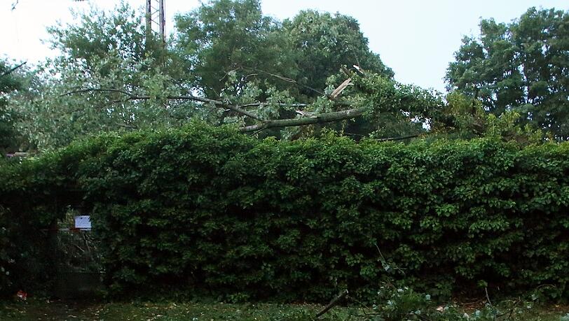 Ein Baum ist wegen des starken Unwetters in Düsseldorf (Nordrhein-Westfalen) auf ein Gartenhaus gestürtzt (hinter der Hecke), in dem sechs Menschen Zuflucht gesucht hatten. Ein Baum ist wegen des starken Unwetters in Düsseldorf (Nordrhein-Westfalen) auf ein Gartenhaus gestürtzt (hinter der Hecke), in dem sechs Menschen Zuflucht gesucht hatten.