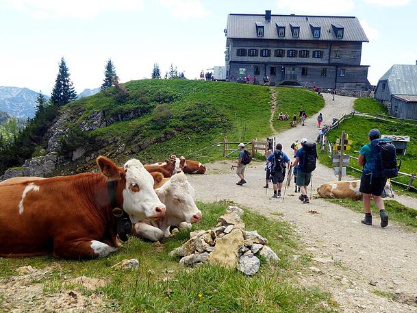 Letztes Jahr war das Rotwandhaus über Monate geschlossen. Letztes Jahr war das Rotwandhaus über Monate geschlossen.