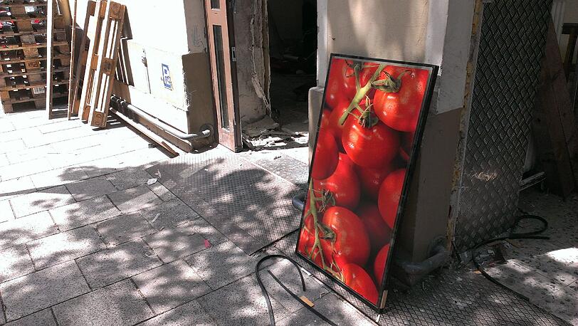 Auch diese Tomaten müssen raus - ob die noch Abnehmer finden?