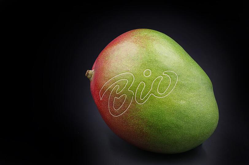 Auch bei einer Mango ist die Schale grunds&auml;tzlich essbar und zudem sehr gesund. Mit einer Einschr&auml;nkung: Mangos enthalten das nat&uuml;rliche Allergen Urushiol, auf das sehr viele Menschen allergisch reagieren.