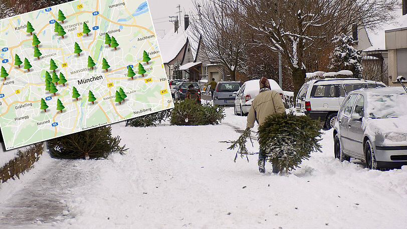 An speziellen Sammelstellen und etlichen Wertstoffhöfen können die Christbäume abgegeben werden.