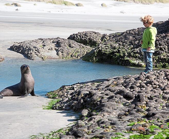 Oha, wer ist denn das? In Neuseeland trifft die Familie auf manches Lebewesen, das es in München - wenn überhaupt - im Tierpark gibt.