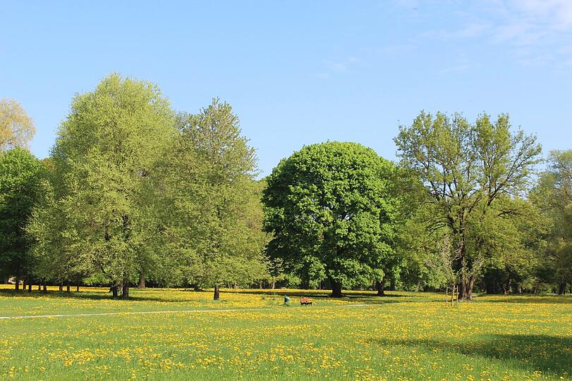 Im Englischen Garten bieten sich Spaziergängern herrliche Bilder.