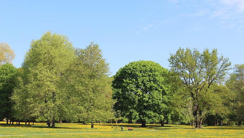 Im Englischen Garten bieten sich Spaziergängern herrliche Bilder.