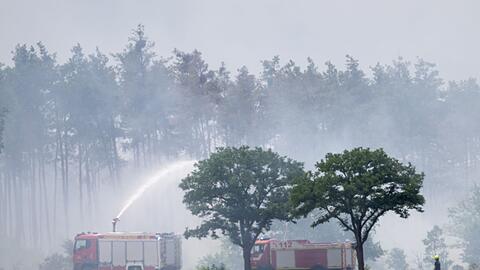 Löschfahrzeuge der Feuerwehr sind in Sachsen in der Gohrischheide im Einsatz.