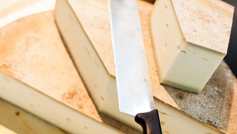 Von würzig bis mild: Käse in all seiner Vielfalt. Von würzig bis mild: Käse in all seiner Vielfalt.