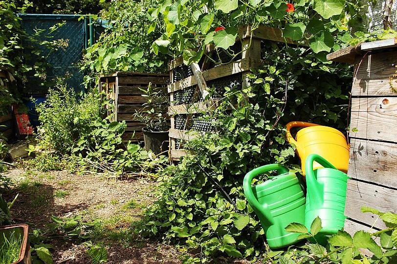Grüner Garten am Grünspitz.