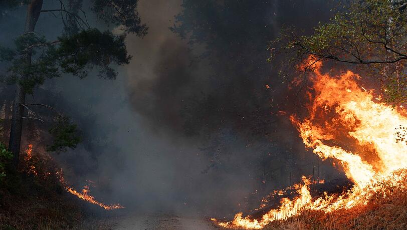 Flammen an einem Waldweg in unmittelbarer Nähe zum Ort Hürtgenwald. Flammen an einem Waldweg in unmittelbarer Nähe zum Ort Hürtgenwald.