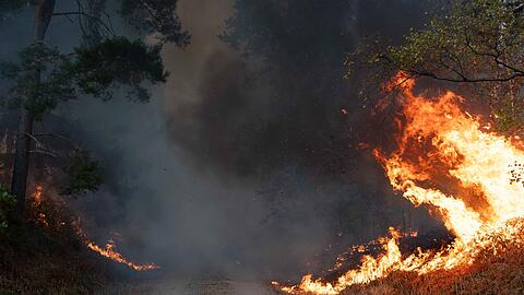 Flammen an einem Waldweg in unmittelbarer N&auml;he zum Ort H&uuml;rtgenwald.