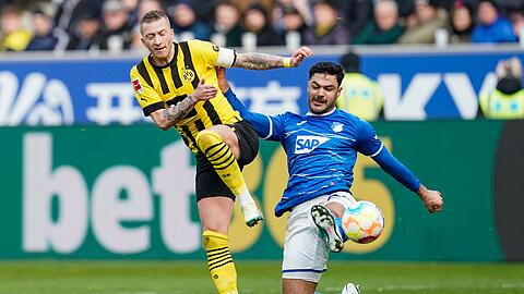 BVB-Kapitän Marco Reus (l) spielt auch um einen neuen Vertrag.