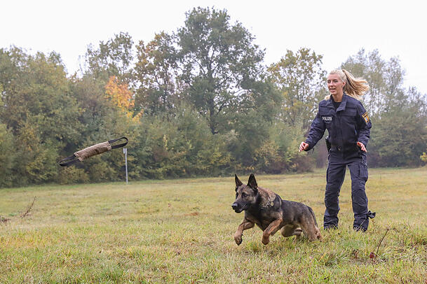 Wenn Chabo dem Spielzeug hinterher sprintet, möchte man nicht im Weg stehen - immerhin wiegt der Schäferhund-Malinois-Mix 35 Kilo. Wenn Chabo dem Spielzeug hinterher sprintet, möchte man nicht im Weg stehen - immerhin wiegt der Schäferhund-Malinois-Mix 35 Kilo.