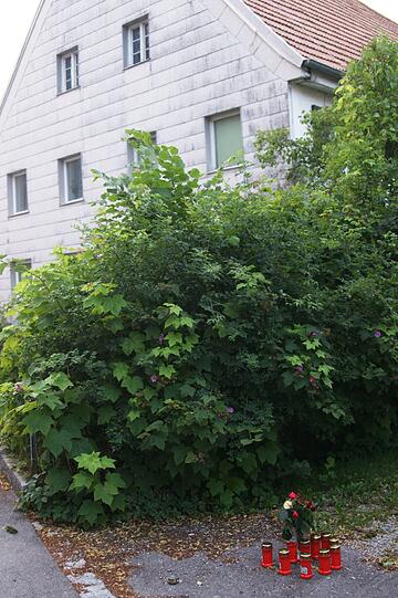 Kerzen und Blumen stehen zum Gedenken von Mathias K. (32) vor dessen Haus, der offenbar in einer Auseinandersetzung mit Nachbarn zu Tode gekommen ist, und zwar im Moorenweiser Ortsteil Dünzelbach.
