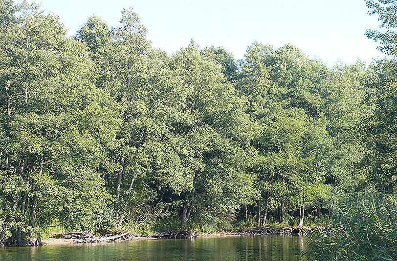 Natur pur im Masuren-Gebiet. Die Region im Nordosten Polens in Bildern.