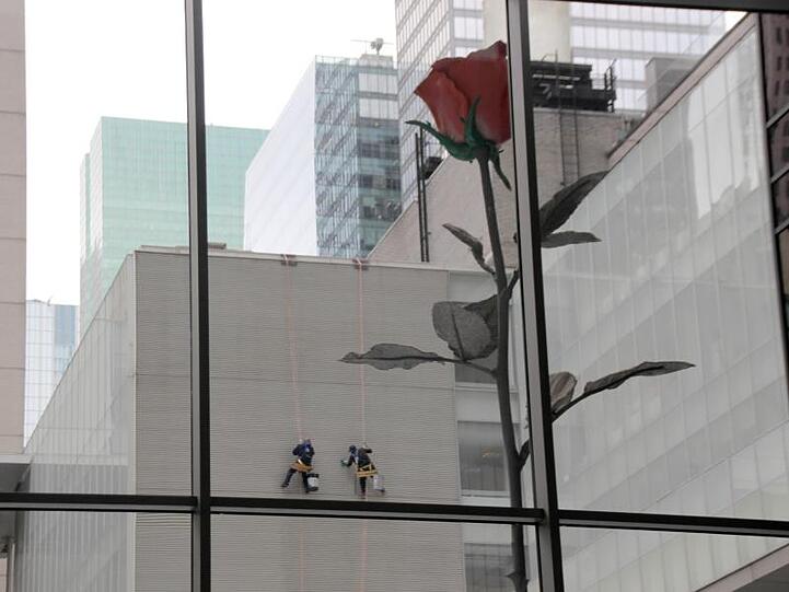 Im MoMA wachsen die Rosen in den Himmel.
