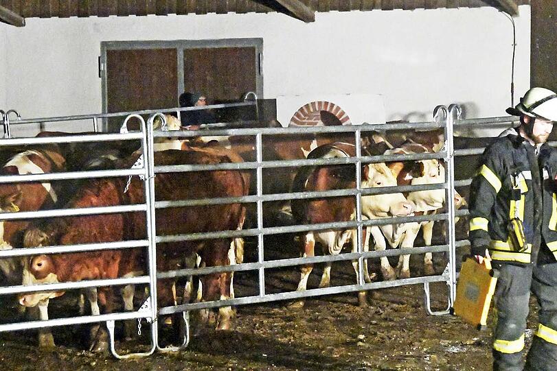 Am Mittwoch kam es in einem Bauernhof nahe Dorfen zu einem Großbrand.