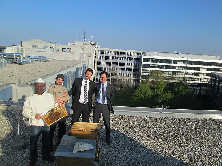 Der Hobby-Imker, der Küchenchef und die beiden Hotel-Mitarbeiter freuen sich über die neuen Gäste auf dem Dach des Pullman Munich.