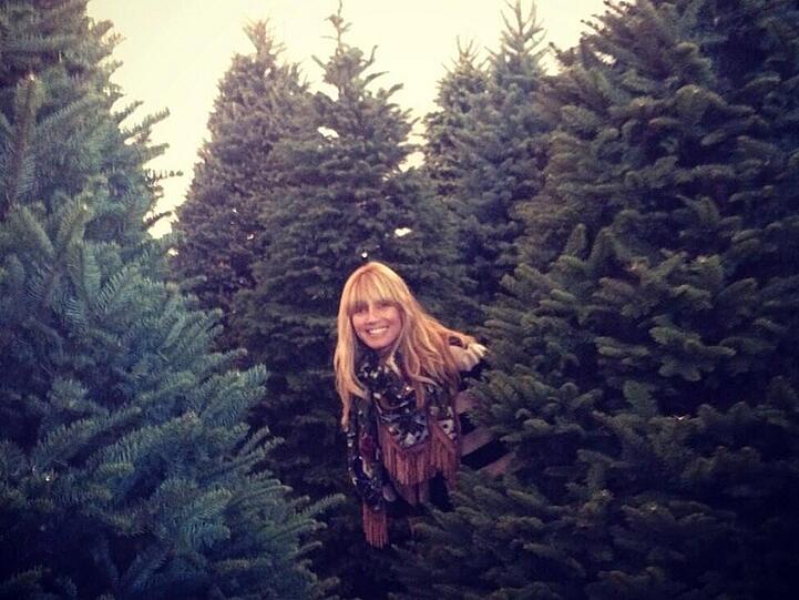 Heidi Klum auf Baum-Suche