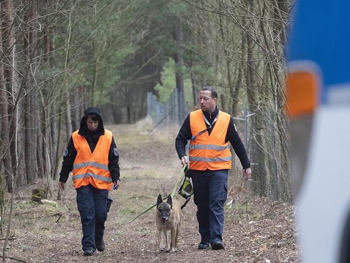 Hundeführer der Polizei gehen im Landkreis Oder-Spree durch ein Waldstück.