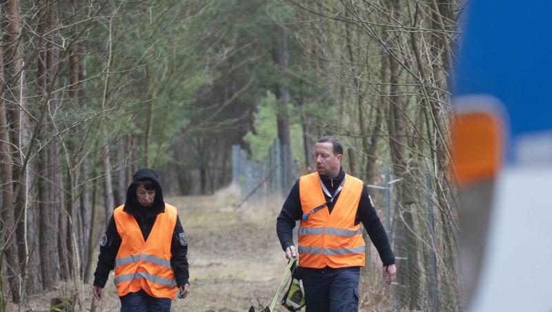 Hundeführer der Polizei gehen im Landkreis Oder-Spree durch ein Waldstück. Hundeführer der Polizei gehen im Landkreis Oder-Spree durch ein Waldstück.