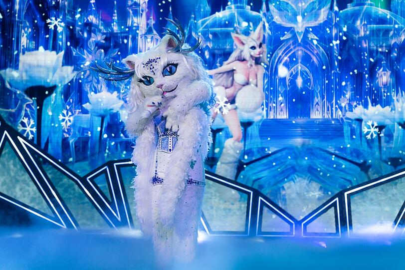 Yeti Cat begeisterte mit vielen Reizen und einer fantastischen Stimme. Wer im Kostüm steckt, scheint ein großes Geheimnis - das frühestens im Halbfinale gelüftet wird. Yeti Cat begeisterte mit vielen Reizen und einer fantastischen Stimme. Wer im Kostüm steckt, scheint ein großes Geheimnis - das frühestens im Halbfinale gelüftet wird.