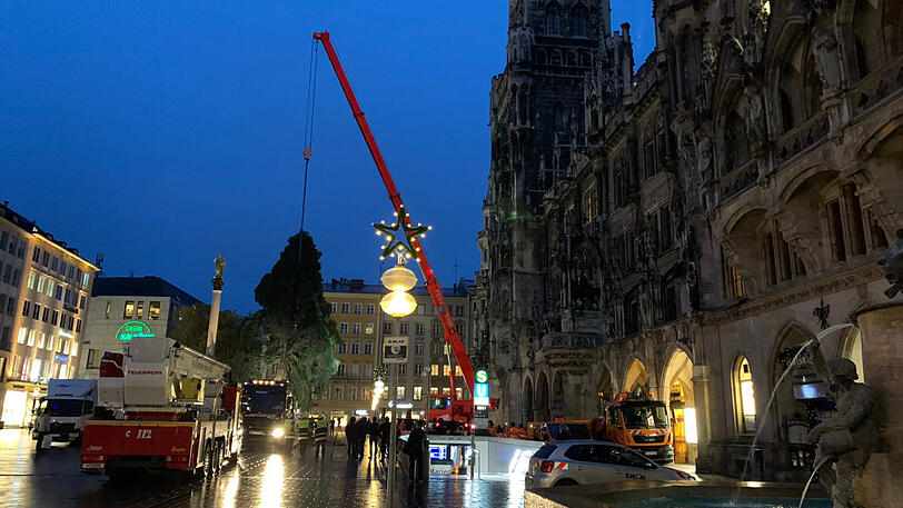 ...und brachte den Baum langsam aber sich in die richtige Position.