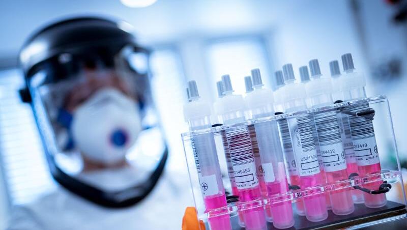 Eine wissenschaftliche Mitarbeiterin hält Coronavirus-Testproben in der Hand. Foto: Peter Steffen/dpa/Archivbild Eine wissenschaftliche Mitarbeiterin hält Coronavirus-Testproben in der Hand. Foto: Peter Steffen/dpa/Archivbild