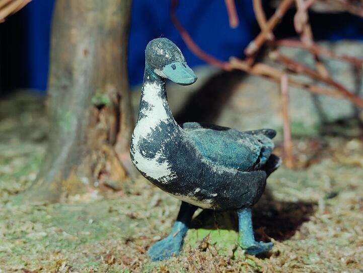 Ente Odilo watschelt durch die Krippenlandschaft,..