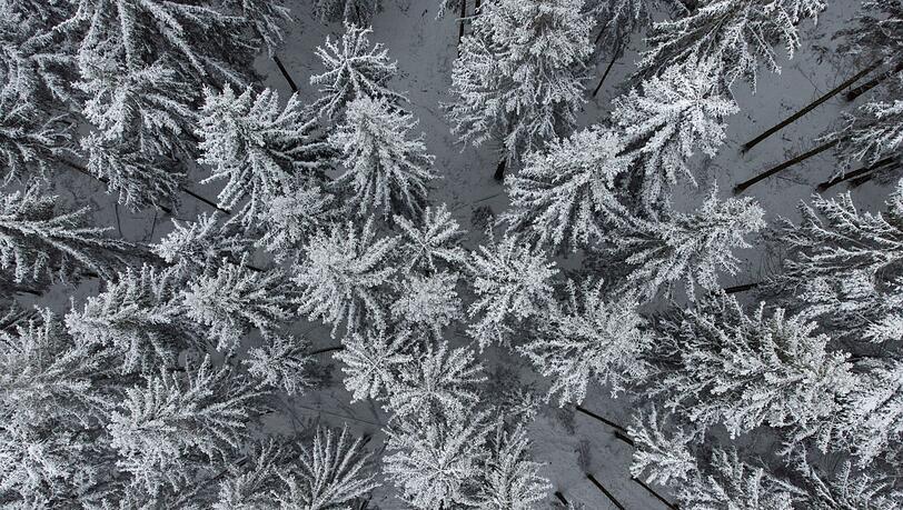 Der Deutsche Wetterdienst prognostiziert für das Wochenende in Bayern niedrigere Temperaturen und Schnee.