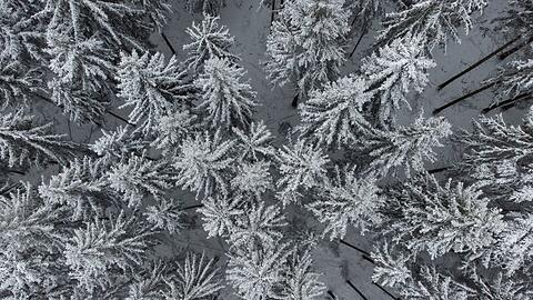 Der Deutsche Wetterdienst prognostiziert für das Wochenende in Bayern niedrigere Temperaturen und Schnee.